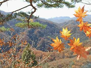 山东的未来15日天气预报一周，近期山东天气预报十五天气预报15天？